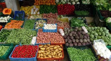 انخفاض أسعار 7 أنواع خضار والخيار يتراجع إلى 7 جنيهات